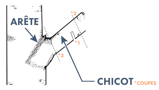 chicots bout de tronc ou de branches brisées chicots bout de tronc ou de branches brisées
